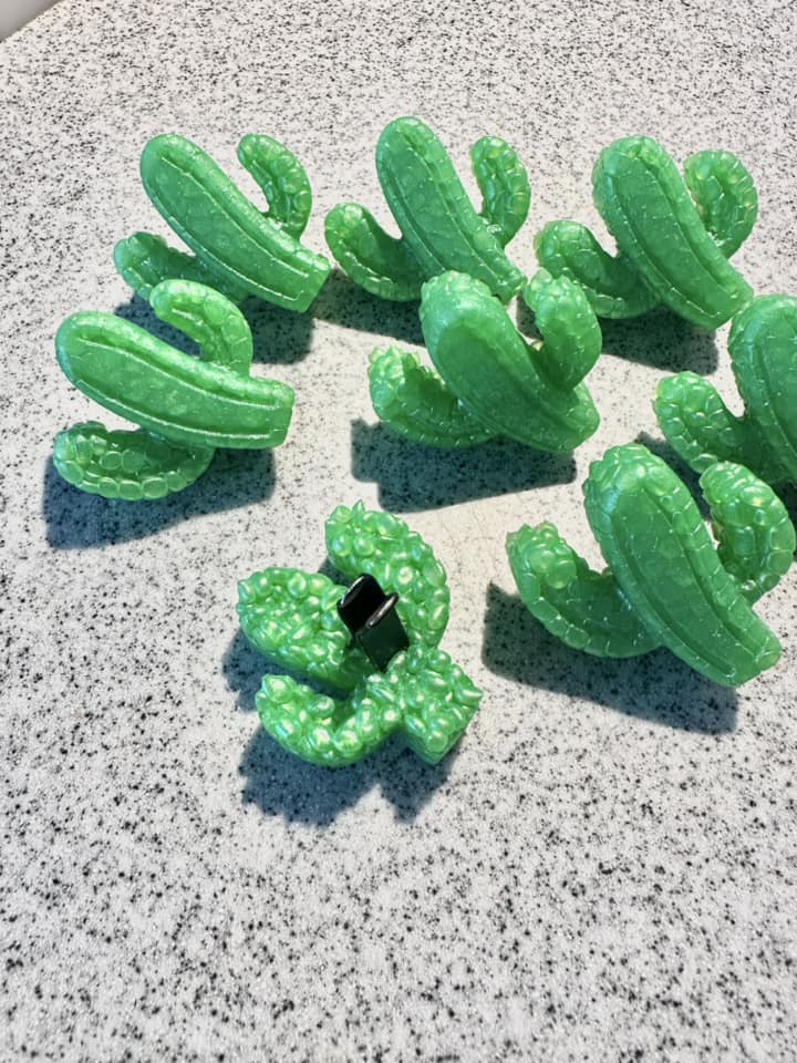 Green Cactus Vent Car Freshies